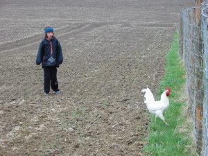 Bildbeschreibung6